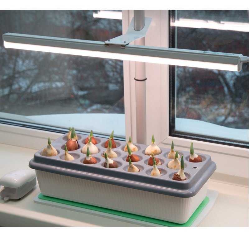 Лампы для растений — светодиодные, led, энергосберегающие, выбор