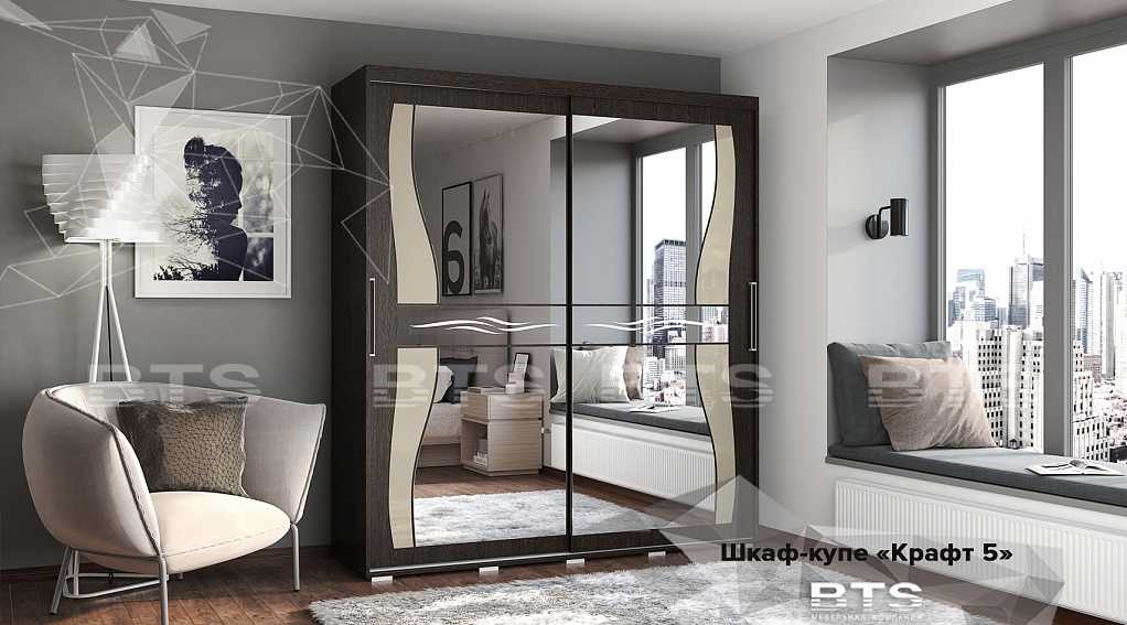 Зеркальные двери-купе для гардеробной (36 фото): распашные модели с зеркалом