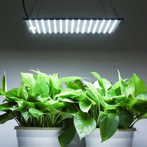 ᐉ лампы для растений - светодиодные, led, энергосберегающие, выбор - my-na-dache.ru