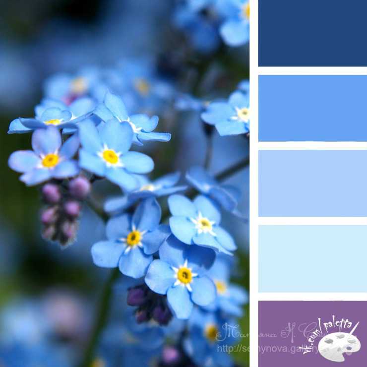 Сочетание голубого цвета и его оттенков | lookcolor