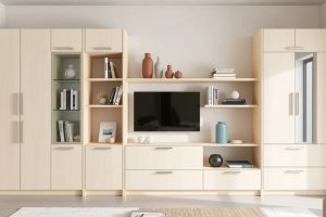 Недорогие стенки для гостиной: как выбрать и не прогадать