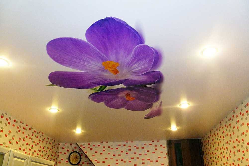 Натяжной потолок с орхидеей (17 фото): особенности и красивые сочетания