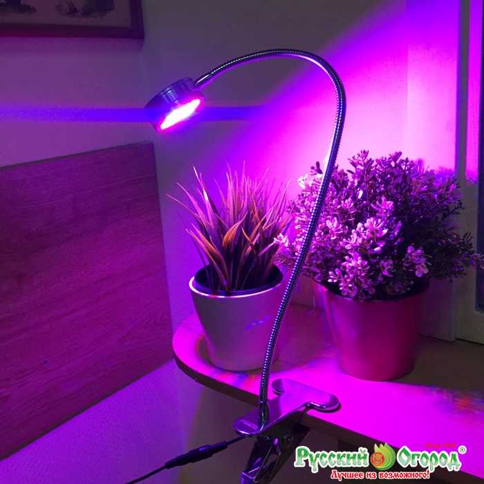 Фитолампы (фитосветильники) — лампы для растений и подсветки рассады