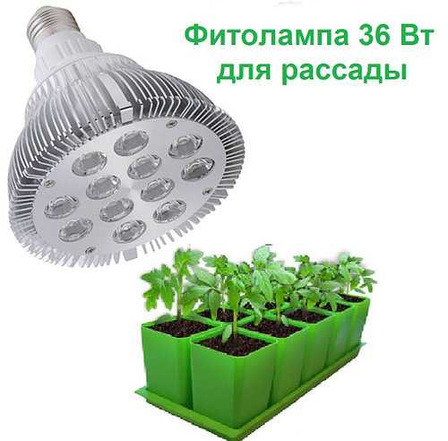 Энергосберегающие лампы для рассады – освещение и подсветка растений