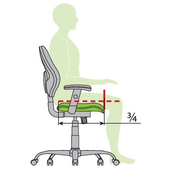 Как правильно выбрать стул. Высота спинки компьютерного кресла. Эргономика офисного кресла. Эргономика компьютерного кресла. Кресло с регулируемой высотой спинки.