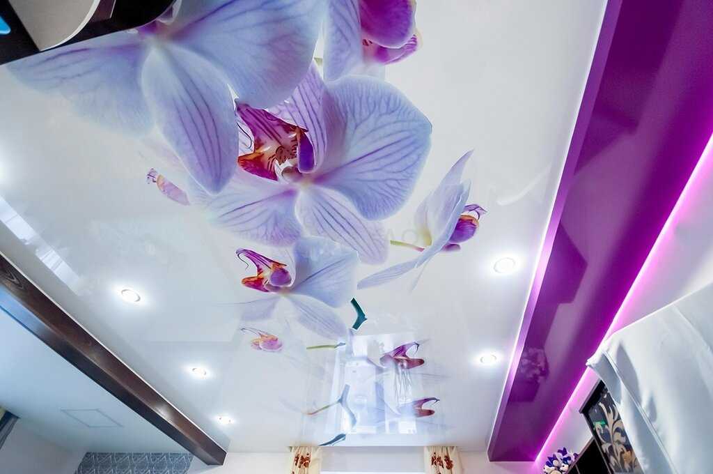 Модное интерьерное решение – натяжной потолок с орхидеей. Значение цветка, особенности и преимущества материала, а также примеры и варианты в интерьере, красивые сочетания