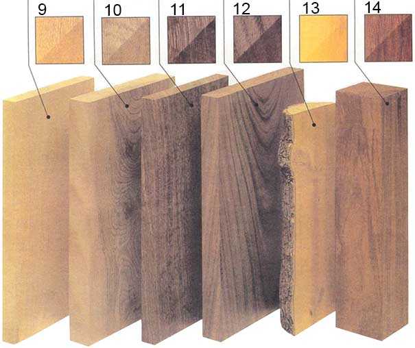 Плюсы и минусы мебели из древесины