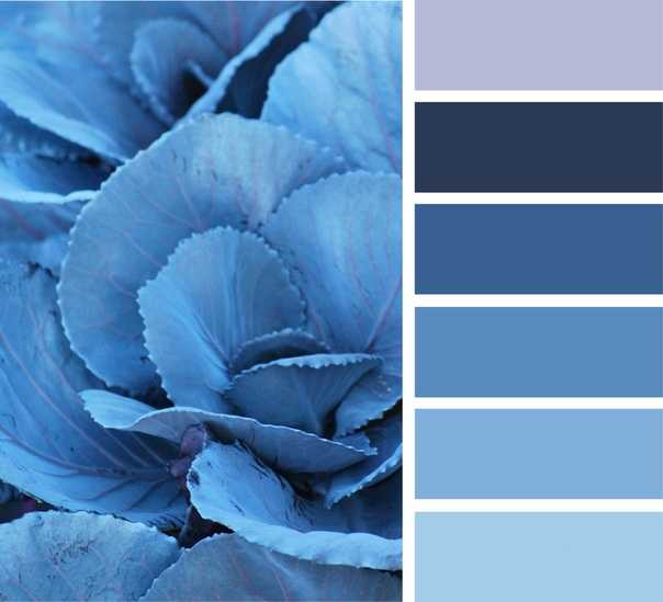 Сочетание синего цвета и его оттенков | lookcolor