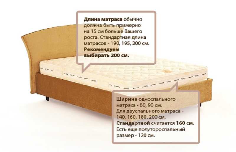 Как выбрать кровать для спальни: виды и характеристики