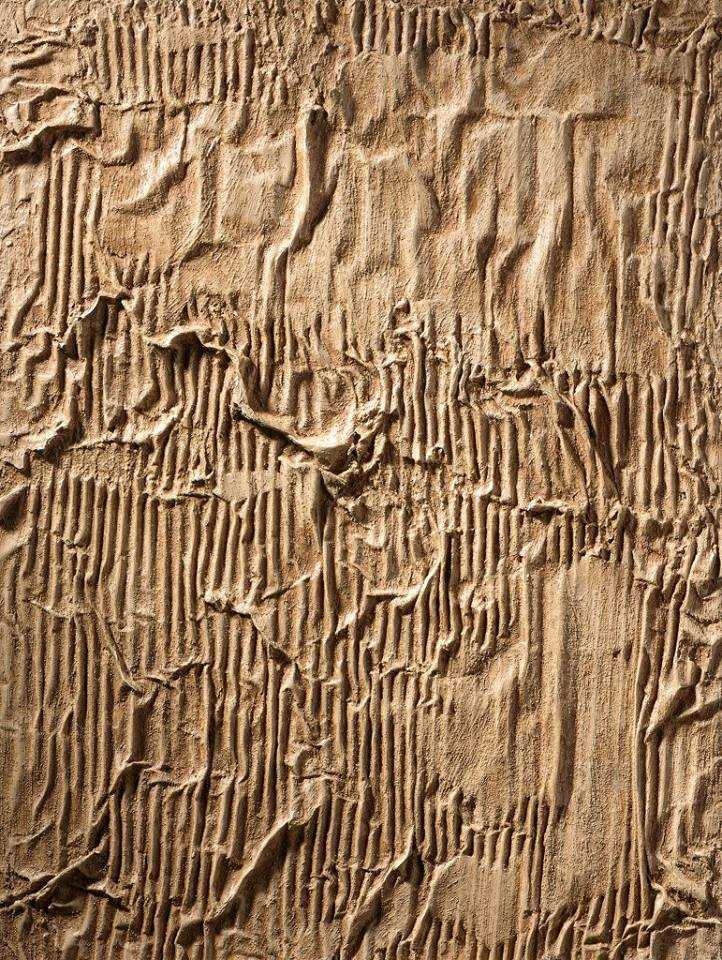 Рельефная плитка: керамические покрытия для стен с необычной фактурой, изделия с рельефом