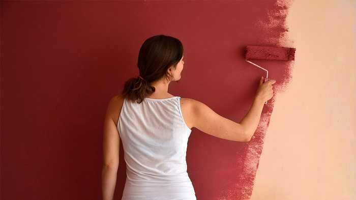 Что лучше: обои или покраска стен, обои или обои под покраску