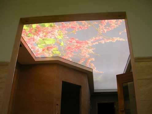 Светящийся натяжной потолок – отличный способ креативного оформления помещения. Чем хороши световые и светопрозрачные конструкции Как осуществляется их монтаж Что стоит учесть при выборе материалов