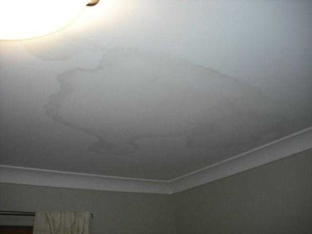 Уход за натяжными потолками: как и чем мыть натяжной потолок, какие средства использовать для чистки?