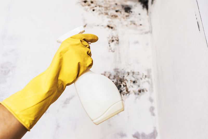 Как помыть натяжной потолок: выбор средства для чистки потолка в зависимости от качества его поверхности, практические советы
