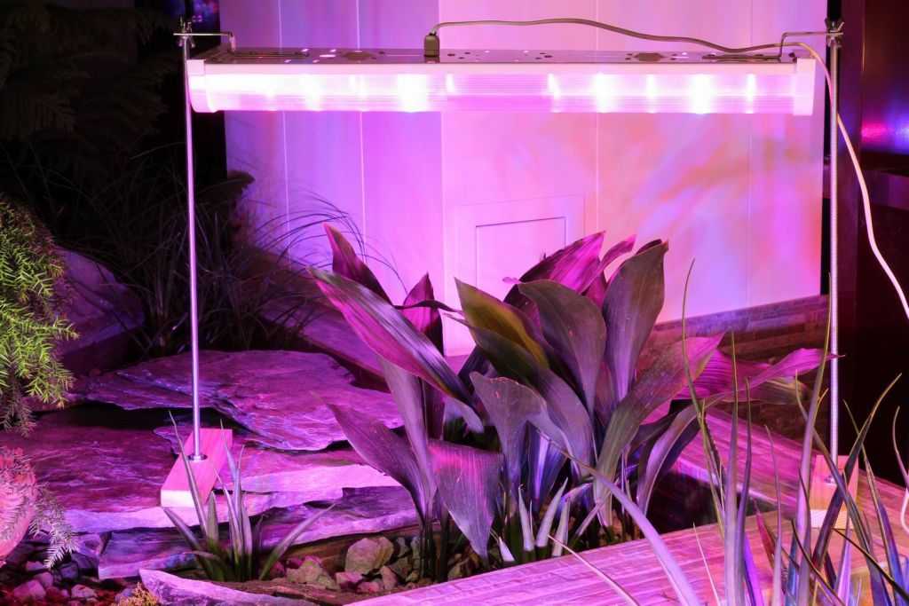Изготовление светодиодного освещения для растений своими руками: полезные рекомендации