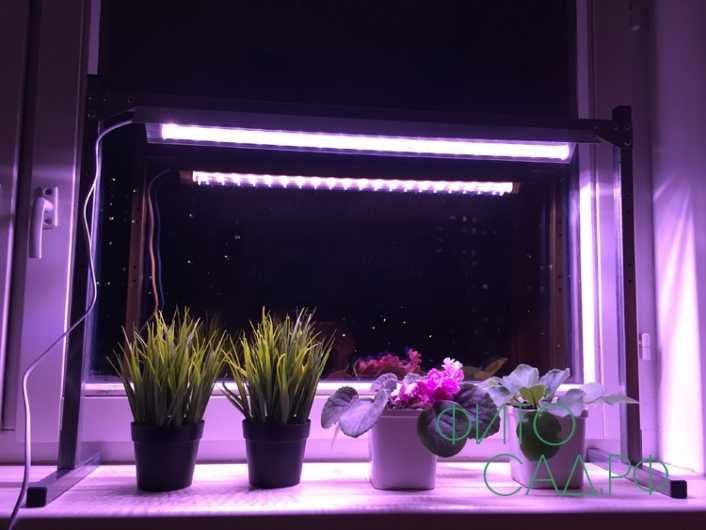 Фитолампа для растений светодиодная: правильное расположение и использование + видео как сделать своими руками