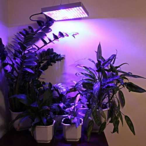 Светодиодные лампы для растений: как сделать своими руками, схема для теплицы, фото, видео