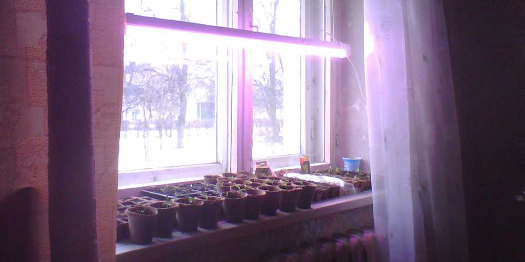 Светодиодная лампа для подсветки цветов и растений в комнате
