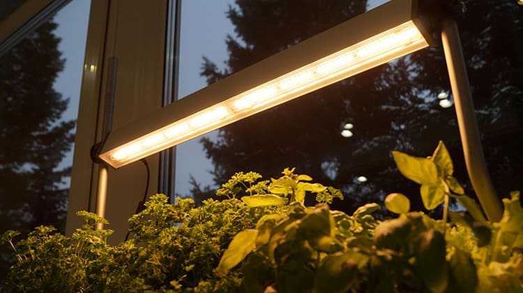 Фитолампа для растений своими руками: подробная инструкция как сделать из светодиодной ленты подсветку для рассады