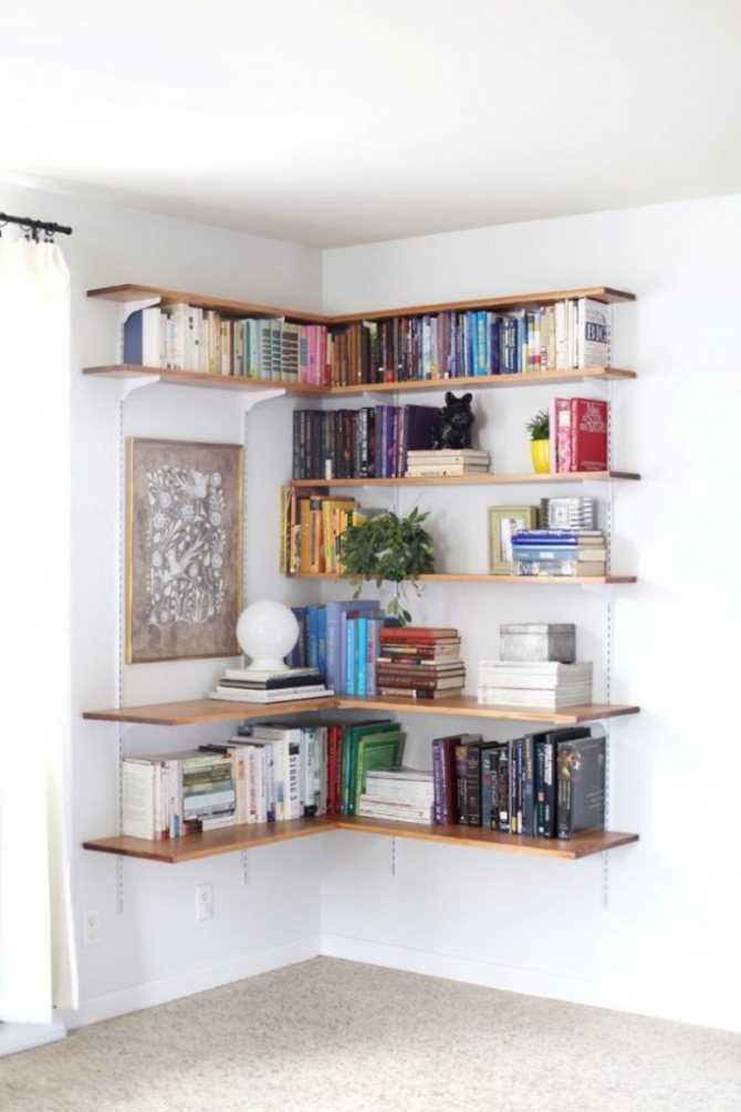 Вместилище знаний — книжный шкаф своими руками с чертежами, схемами и подробным описанием, как его сделать самому