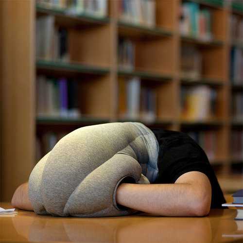 Необычная подушка для сна страус представляющая мешок с отверстиями